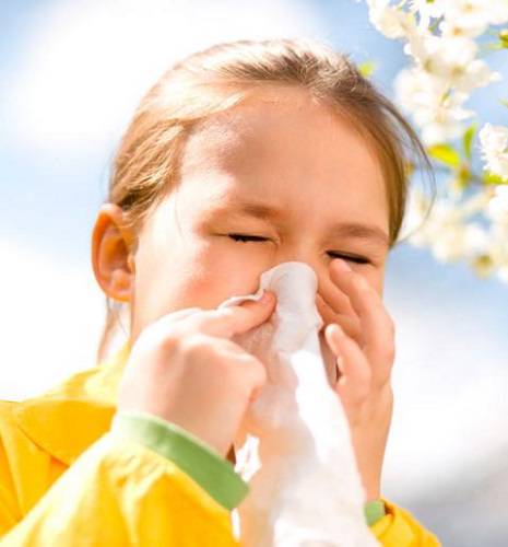 tipos-de-alergias-y-tratamientos imágen de artículo