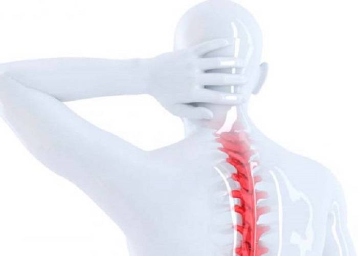 la-cirugia-ideal-para-fracturas-vertebrales imágen de artículo