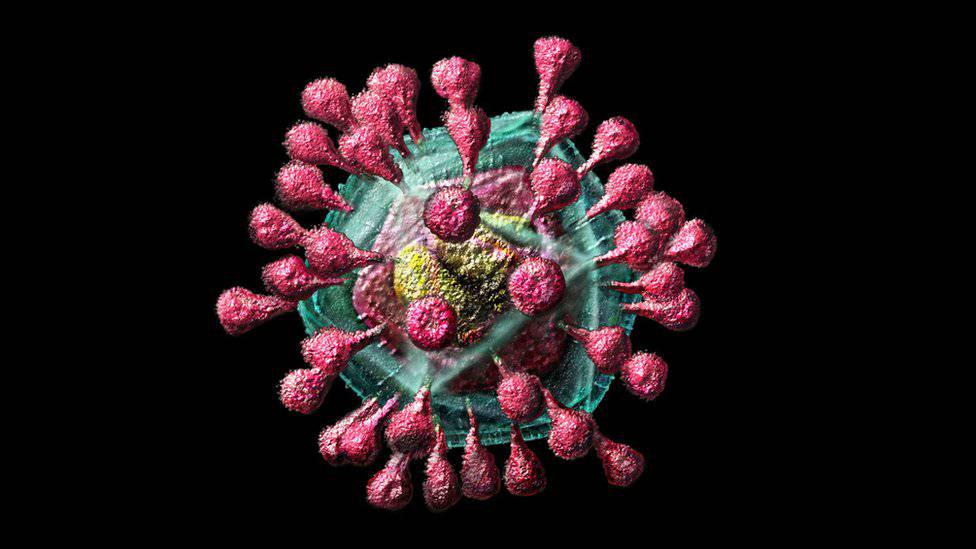 Entre cifras, síntomas y portadores: ¿qué sabemos del coronavirus?