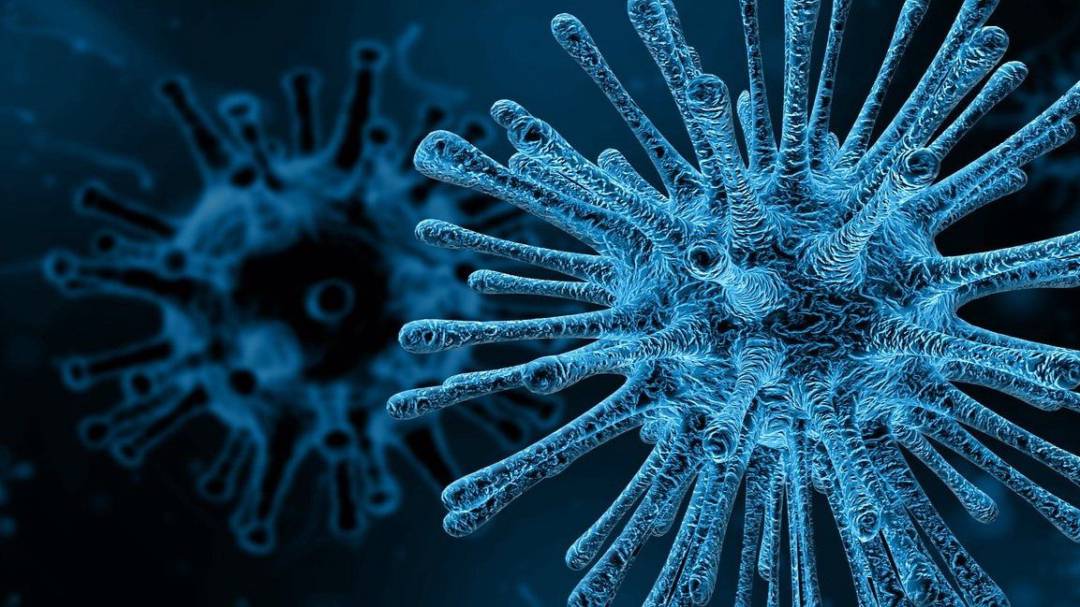 Coronavirus: ¿La carga viral influye en esta enfermedad?  