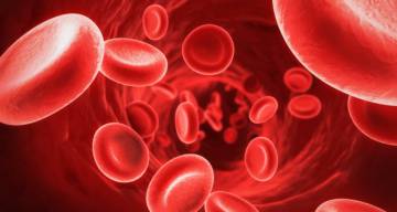 dia-mundial-de-la-hemofilia imágen de artículo