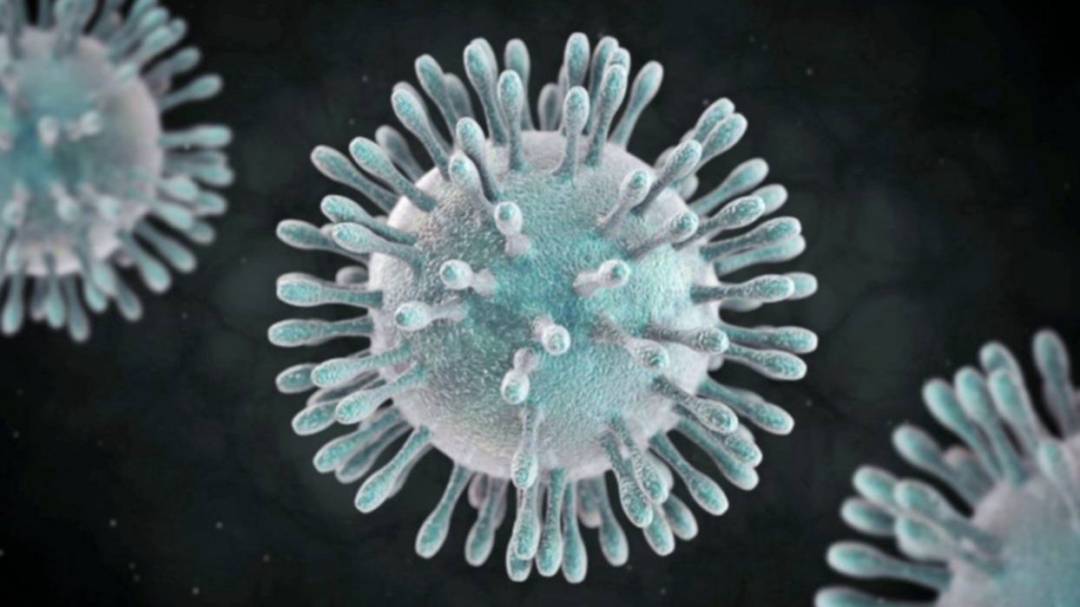 Coronavirus en la Región de Maule