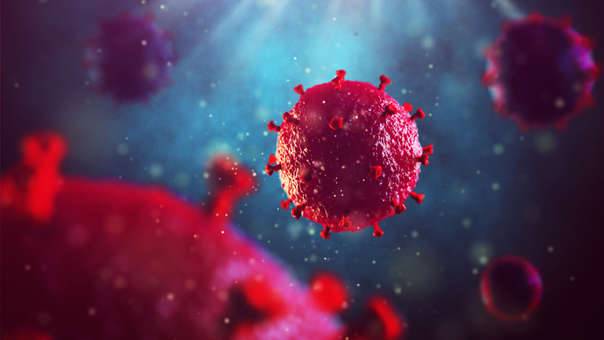  Virus de Inmunodeficiencia Humana (VIH)