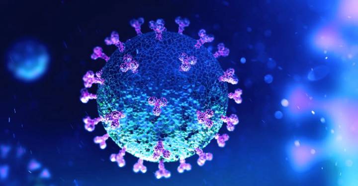 coronavirus-chile-continua-con-el-plan-paso-a-paso imágen de artículo