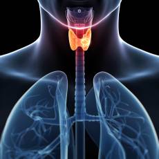 cancer-de-tiroides-ante-que-sintomas-debemos-prevenirnos imágen de artículo