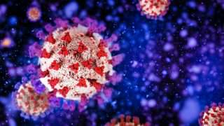 El Coronavirus como virus endémico