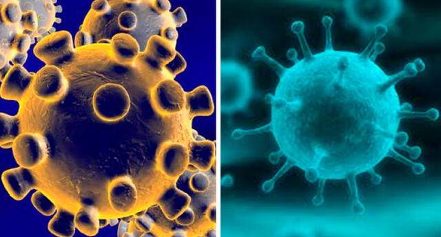 padecer-gripe-y-coronavirus imágen de artículo